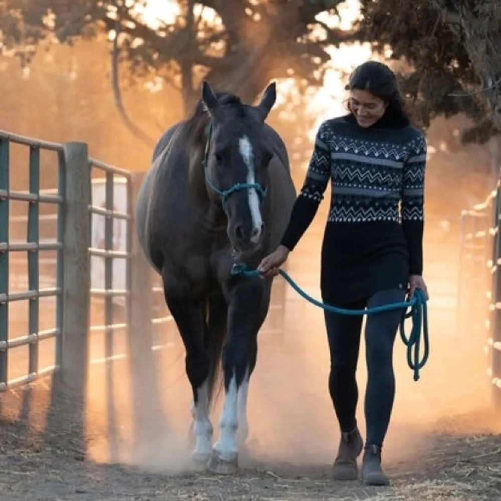 Title Nine‎ Washable Merino Wool Barra Tunic Sweater, Fair Isle Black